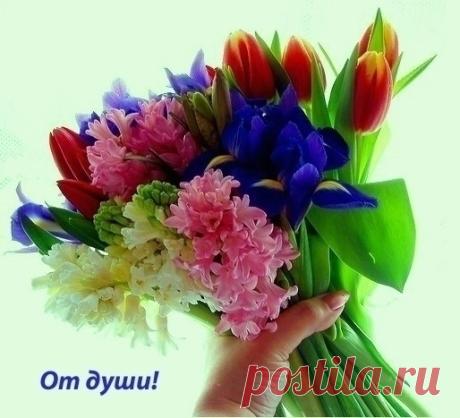 Чудеса своими глазами – Слава Богу За Всё!!! Православный, пользователь Нина Россихина | Группы Мой Мир