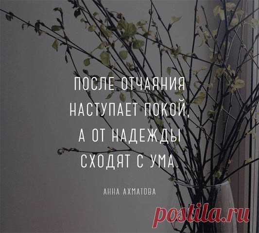 Прикольные картинки про жизнь со смыслом - мудрые, интересные