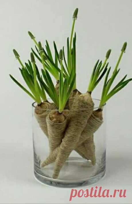 Pinterest