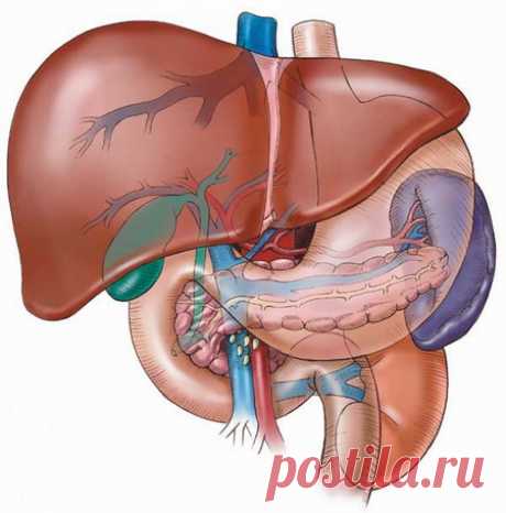 Разгрузочный День | golod.org