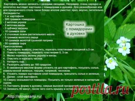 Рецепты - Картошка с помидорами в духовке