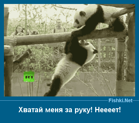 Анимахи. Часть 46 (20 гифок)