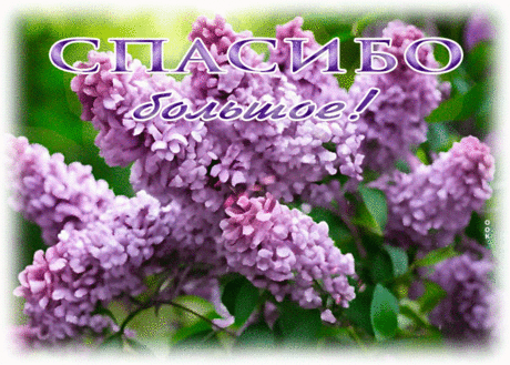 Идеальная гиф-открытка, спасибо большое