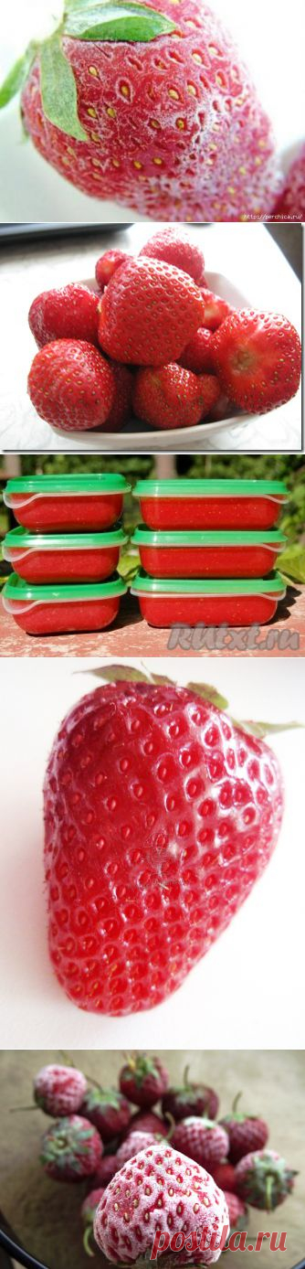 Как можно хорошо замораживать клубнику - есть секреты.