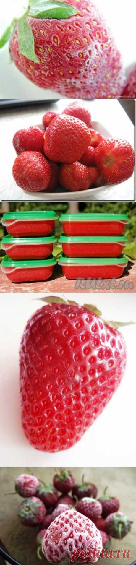 Как можно хорошо замораживать клубнику - есть секреты.