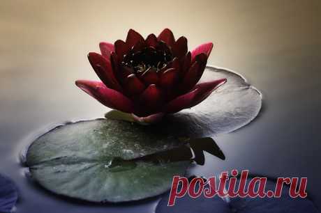 Редактировать описание