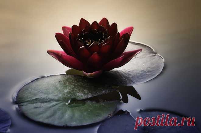 Редактировать описание