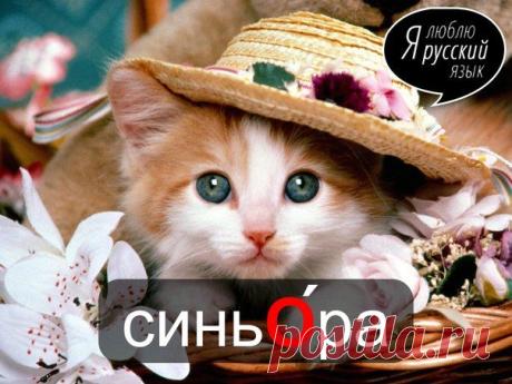 Стена