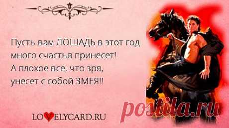 Пусть вам ЛОШАДЬ в этот год много счастья принесет! А плохое все, что зря, унесет с собой ЗМЕЯ!!
Картинка про любовь №671 с сайта lovelycard.ru