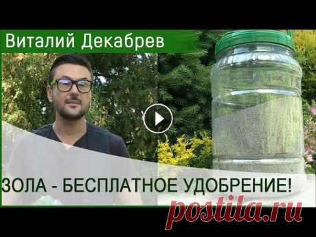 ЗОЛА - БЕСПЛАТНОЕ УДОБРЕНИЕ! КАК ПРАВИЛЬНО ИСПОЛЬЗОВАТЬ ЗОЛУ ДЛЯ ПОДКОРМКИ РАСТЕНИЙ? В этом выпуске: как правильно использовать золу для подкормки растений? Зола это высокоэффективное удобрение, которое содержит элементы в доступной фо...