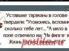 (6) Одноклассники