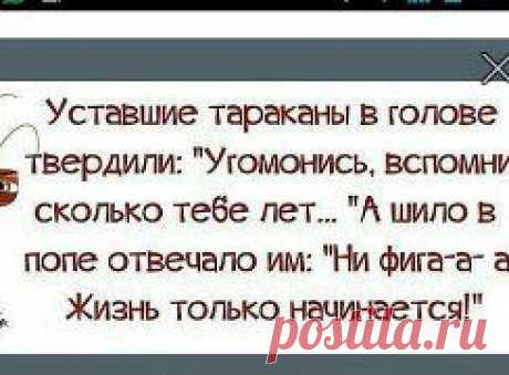 (6) Одноклассники