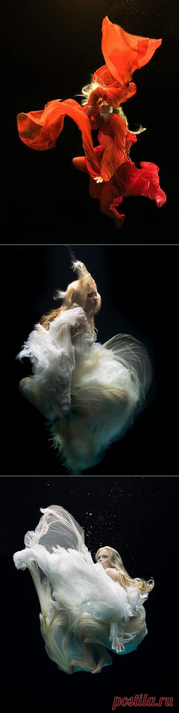 Эффект движения, иллюзия свободы в работах Zena Holloway | Современное искусство