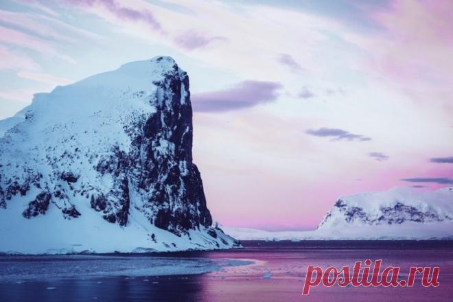 Холодная Антарктика...