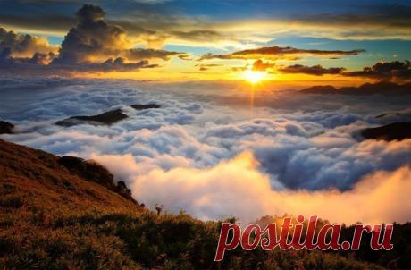 Звуки природы