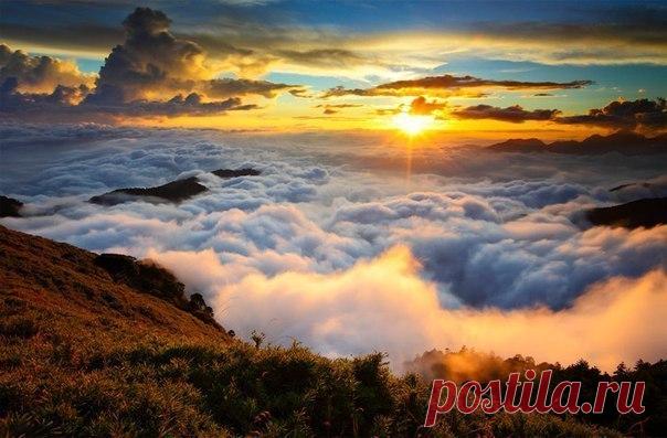 Звуки природы