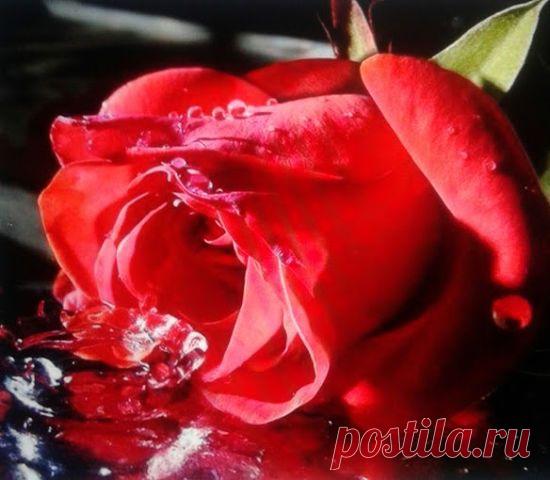 Мой Мир@Mail.Ru