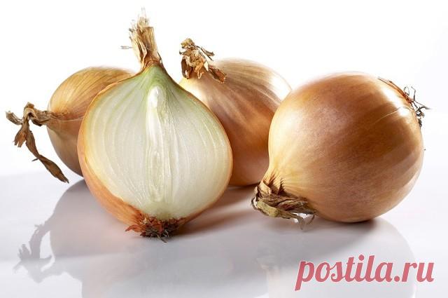 Соленая горбуша в масле с луком 

В этом рецепте вы узнаете как засолить быстро рыбу и уже через час её можно будет кушать. Это безусловно вкусная засоленная рыба, попробуйте и убедитесь сами, это весьма оригинально. Рассмотрим, как засолить рыбу:

Ингредиенты:

Горбуша (свежемороженая) – 2 шт
Вода – 1 л
Соль – 5 ст. л.
Масло растительное (нерафинированное подсолнечное) — 150 мл
Лук репчатый — 1 шт


Приготовление:

Выпотрошенную рыбу режем на куски. Горбуша — рыба очень н...