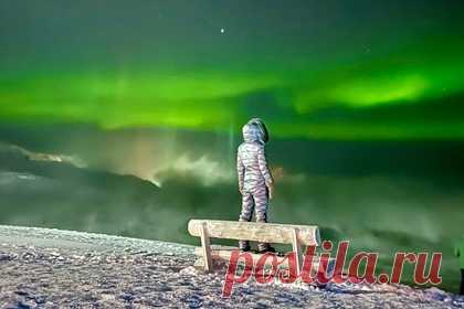 Россиянка вошла в число победителей на фотоконкурсе со снимком из Териберки. Россиянка вошла в число победителей на конкурсе фотографий, сделанных с помощью смартфонов iPhone, со снимком из Териберки в Мурманской области. Фотография Татьяны Мерзляковой заняла первое место в категории снимков на тему путешествий. В кадре запечатлена девушка, стоящая на фоне северного сияния.