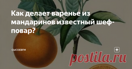 Как делает варенье из мандаринов известный шеф-повар? Каникулы – время варить варенье. Эка Джикия, шеф-повар ресторана абхазской кухни «Ача-чача» знает, как варить лучшее на свете варенье из мандаринов
