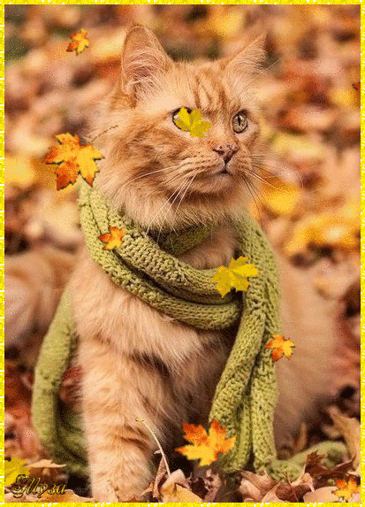 Мой Мир@Mail.Ru