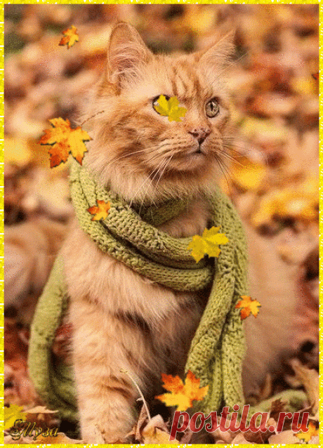 Мой Мир@Mail.Ru