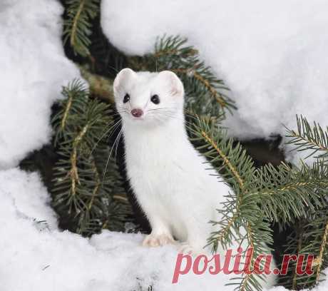 Мой Мир@Mail.Ru