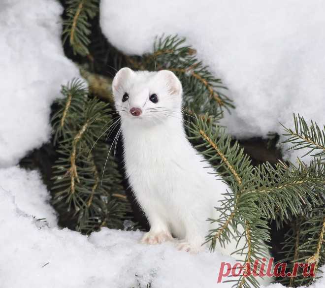 Мой Мир@Mail.Ru