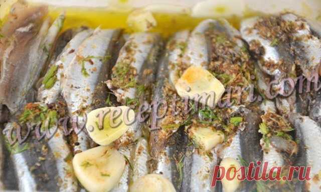 Самая вкусная маринованная хамса за ночь по-гречески.