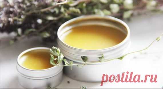 Как сделать бальзам для губ из масел и пчелиного воска