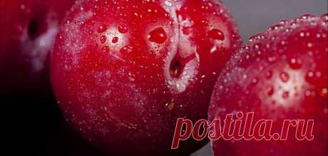 Топ-6 лучших сортов сливы!