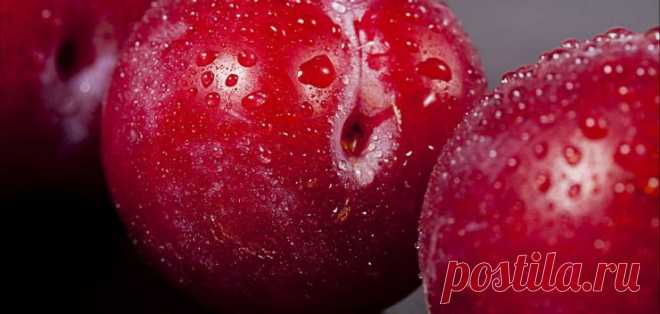 Топ-6 лучших сортов сливы!