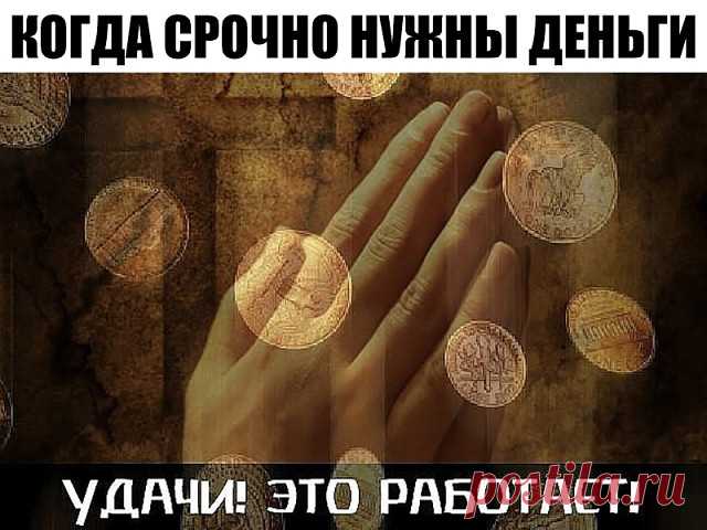 (86) Одноклассники