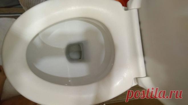 По совету свекрови избавилась от неприятного запаха в туалете теперь в 3 раза дешевле, чем раньше (полезная хитрость) | Пока муж на работе | Яндекс Дзен