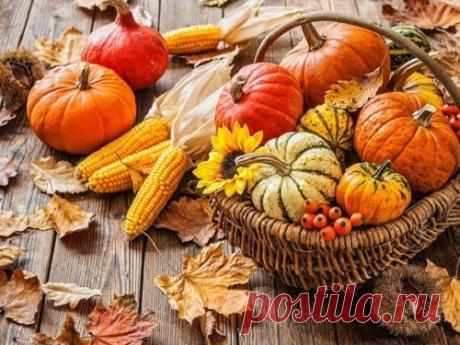 Осенины 21 сентября 2019 года: заговоры и обряды на богатство, удачу и семейное счастье Осенины — один из древних славянских праздников, который отмечается и по сей день. По поверью, 21 сентября пробуждаются силы природы, а заговоры и обряды становятся особенно эффективными.