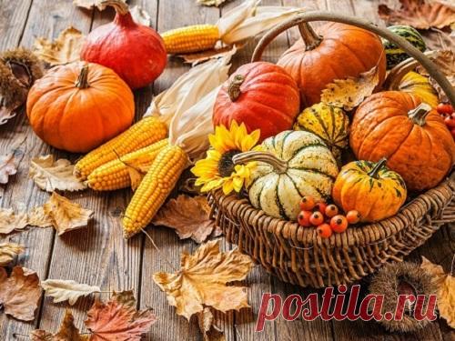 Осенины 21 сентября 2019 года: заговоры и обряды на богатство, удачу и семейное счастье Осенины — один из древних славянских праздников, который отмечается и по сей день. По поверью, 21 сентября пробуждаются силы природы, а заговоры и обряды становятся особенно эффективными.