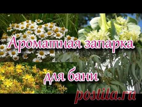 Простая в приготовлении и очень полезная запарка для бани... Лечение простуды на раз.