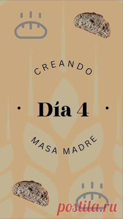 ✨🍞Debes mirar antes estos videos🍞✨:✨Video día 1 aquí: https://youtube.com/shorts/uQsFnclmHyI?feature=share ✨✨Video día 2 y 3 aquí: https://youtube.com/shor...