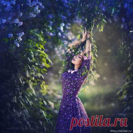 Вьющиеся растения в своём саду