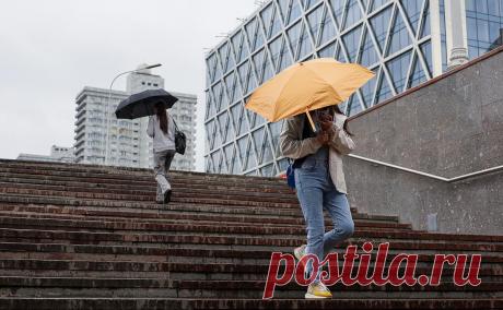 В МТС предупредили о хакерской схеме «злой двойник». Технический руководитель МТС RED SOC Ильназ Гатауллин посоветовал отключить функцию автоматического присоединения к уже известным сетям Wi-Fi, чтобы не стать жертвой хакеров.