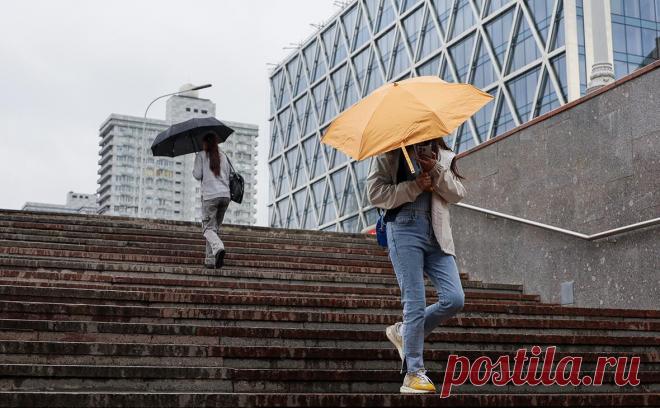 В МТС предупредили о хакерской схеме «злой двойник». Технический руководитель МТС RED SOC Ильназ Гатауллин посоветовал отключить функцию автоматического присоединения к уже известным сетям Wi-Fi, чтобы не стать жертвой хакеров.