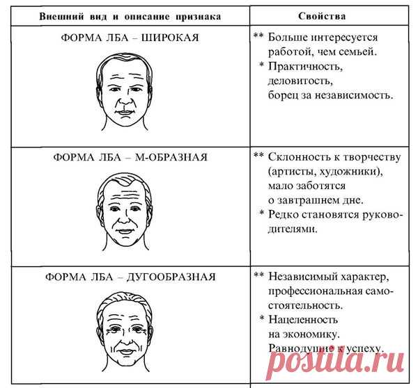 Физиогномика лица в картинках (26 фото) ⭐ Забавник