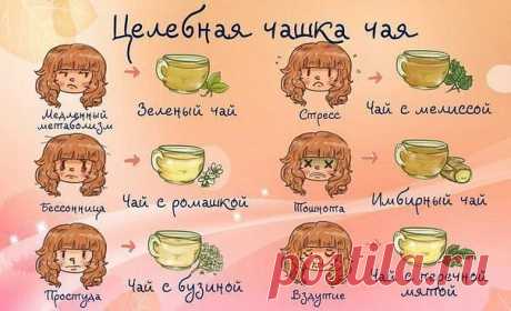 Выбирай правильный чай!