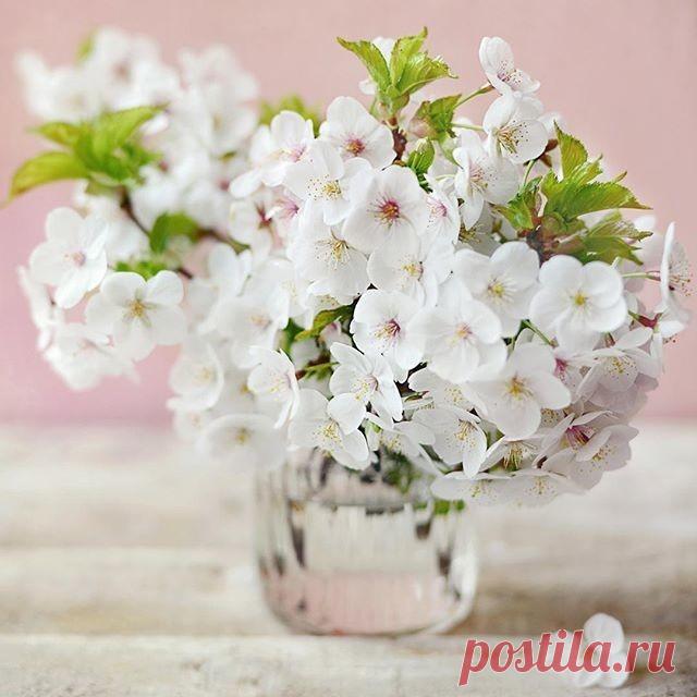 Души уютный уголок. Дневник Iliana