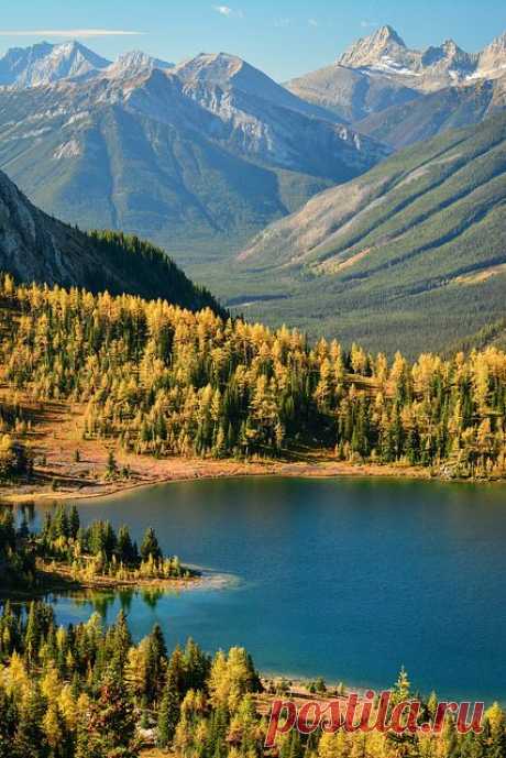 Larix Lake by Marko Stavric on Flickr. |  tulipnight.tumblr.com