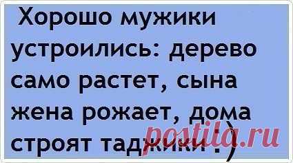Женская солидарность