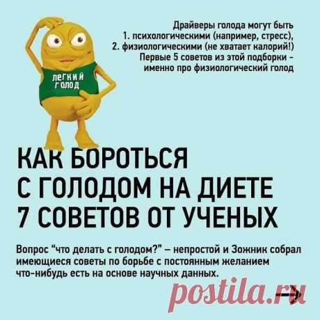 Полезная шпаргалка в борьбе с голодом