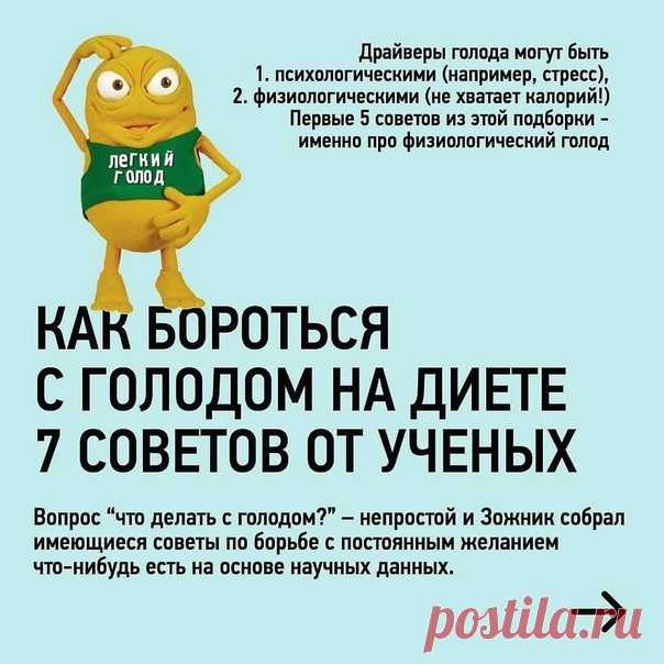 Полезная шпаргалка в борьбе с голодом