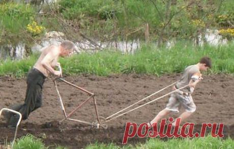утренняя пробежка