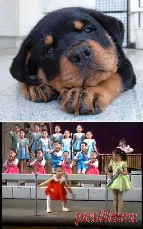 (62) Одноклассники